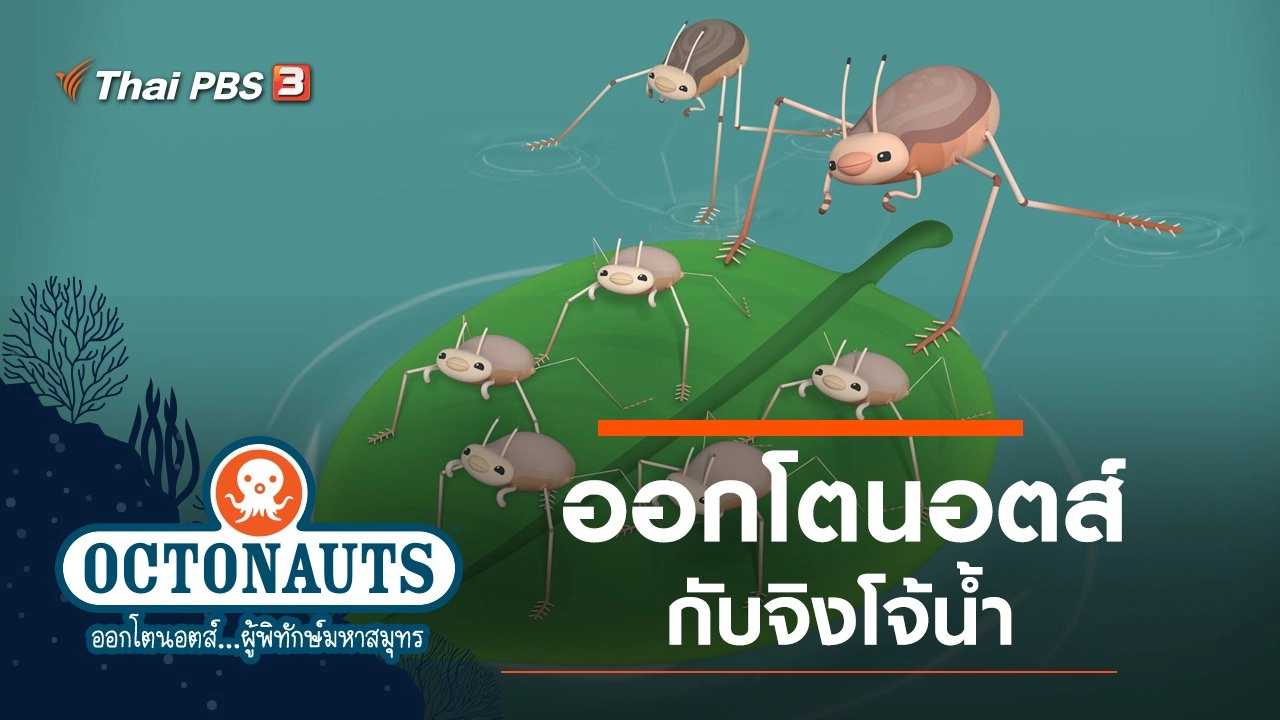 ออกโตนอตส์กับจิงโจ้น้ำ