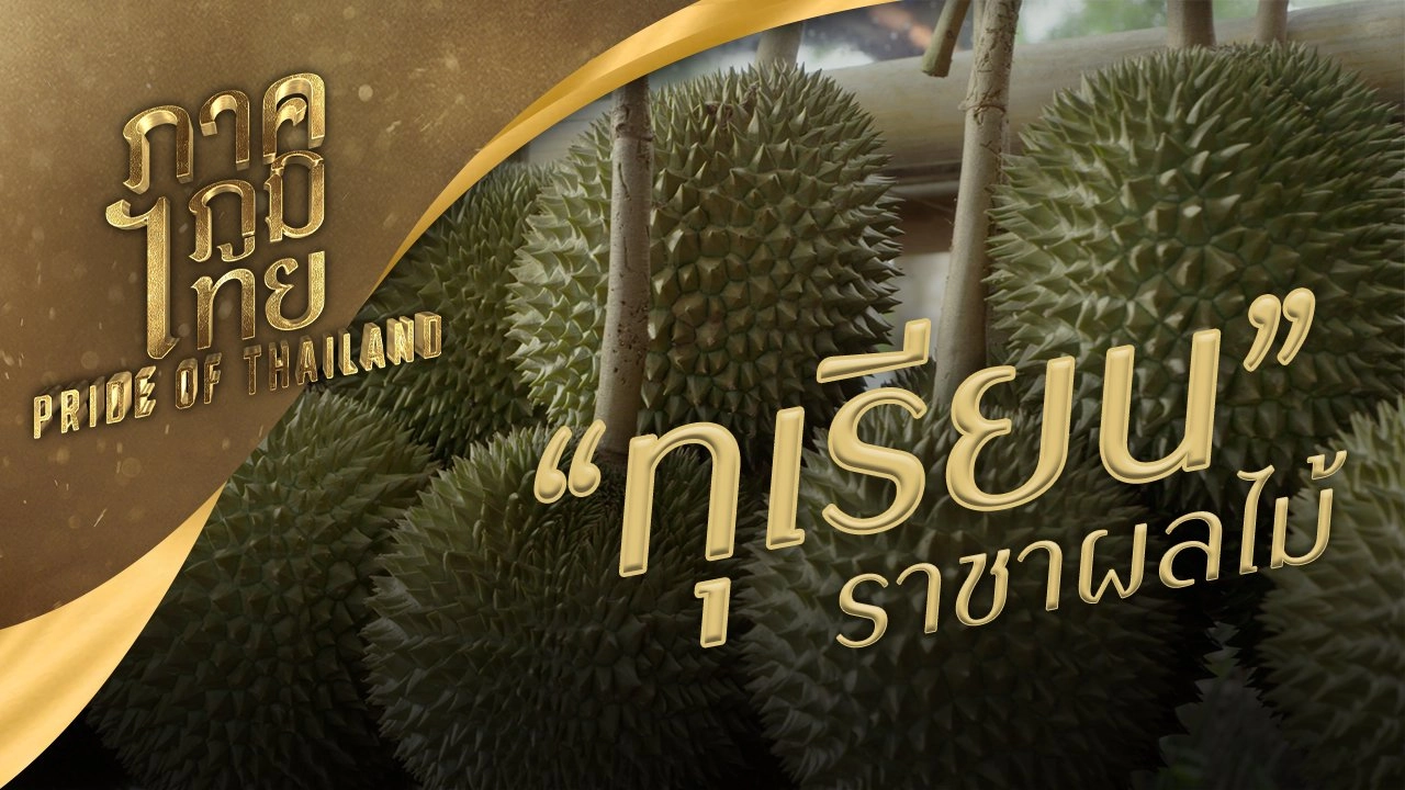 "ทุเรียน" ราชาผลไม้