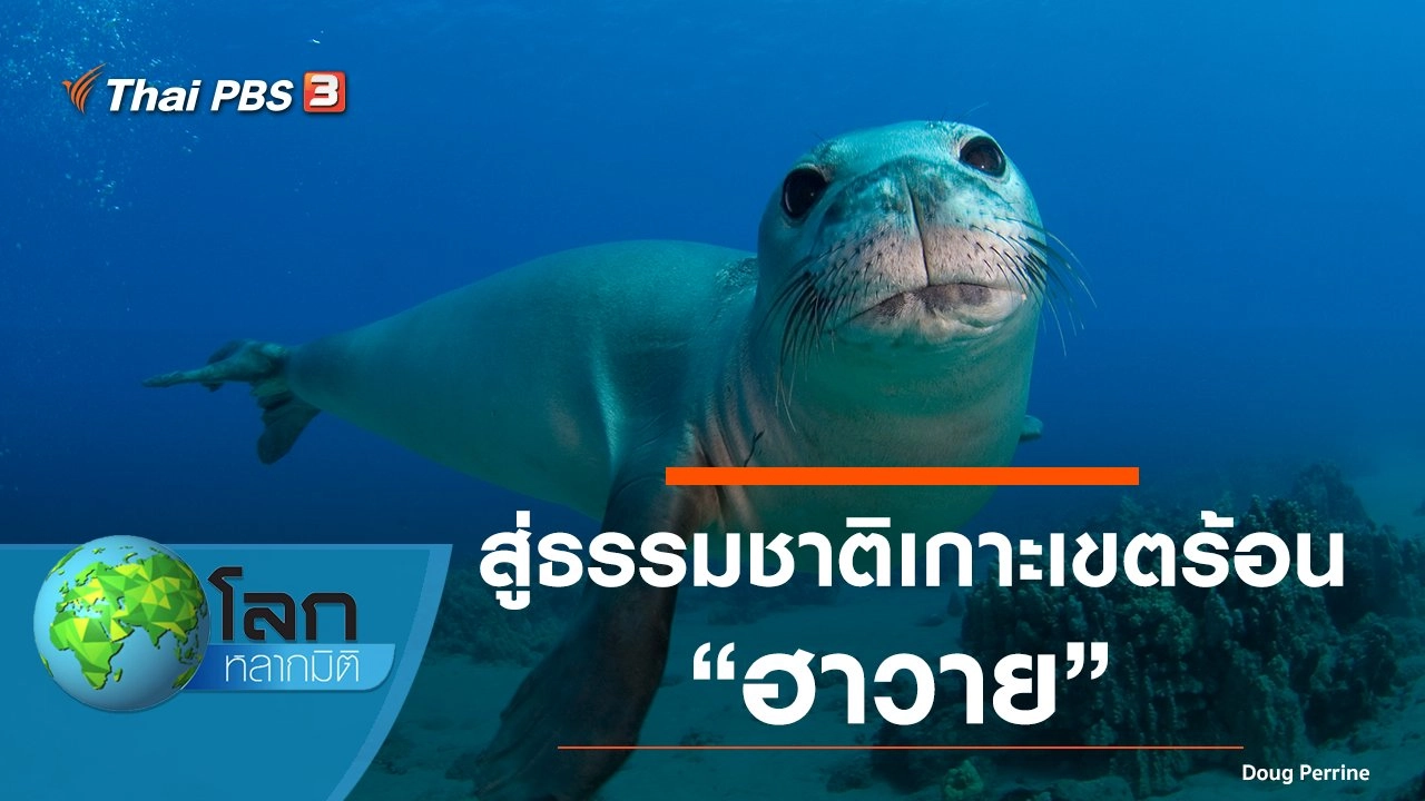 สู่ธรรมชาติเกาะเขตร้อน ตอน ฮาวาย