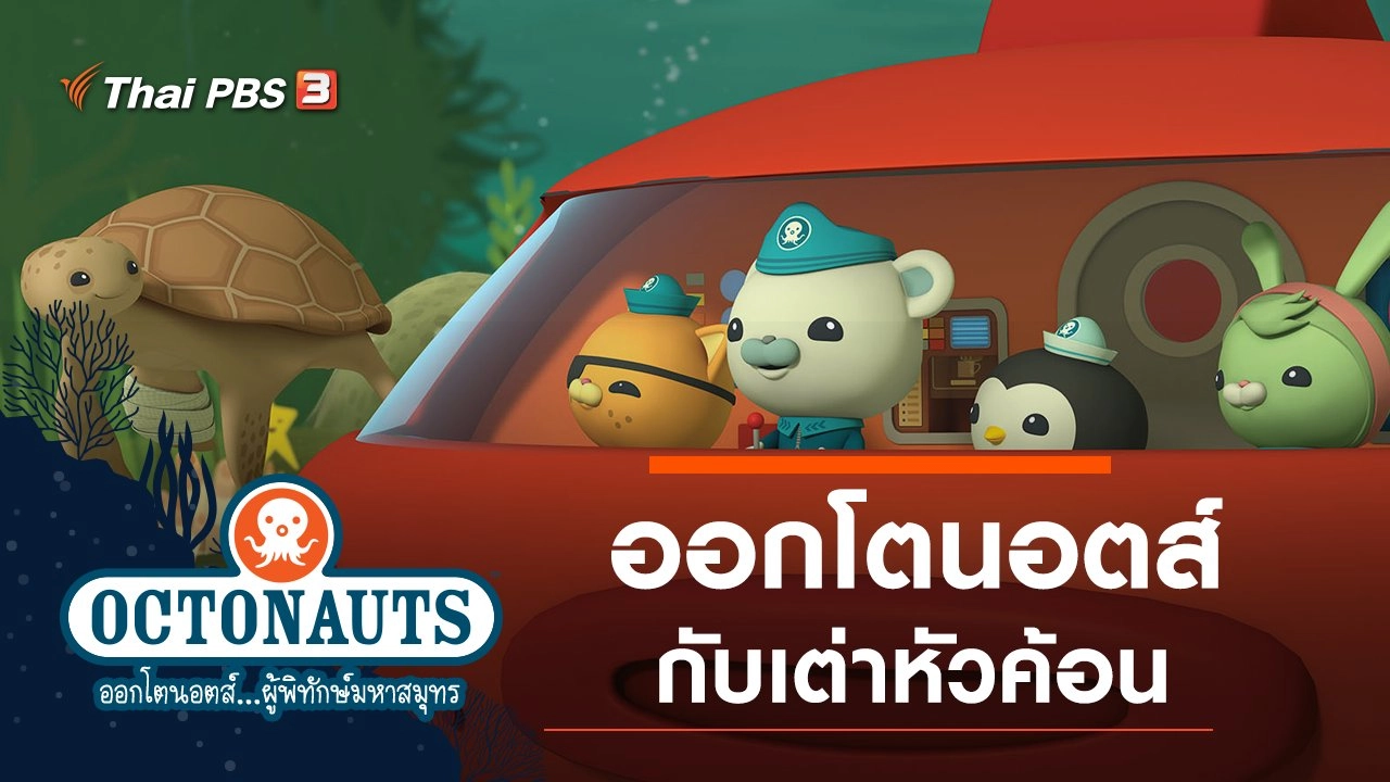 ออกโตนอตส์กับเต่าหัวค้อน