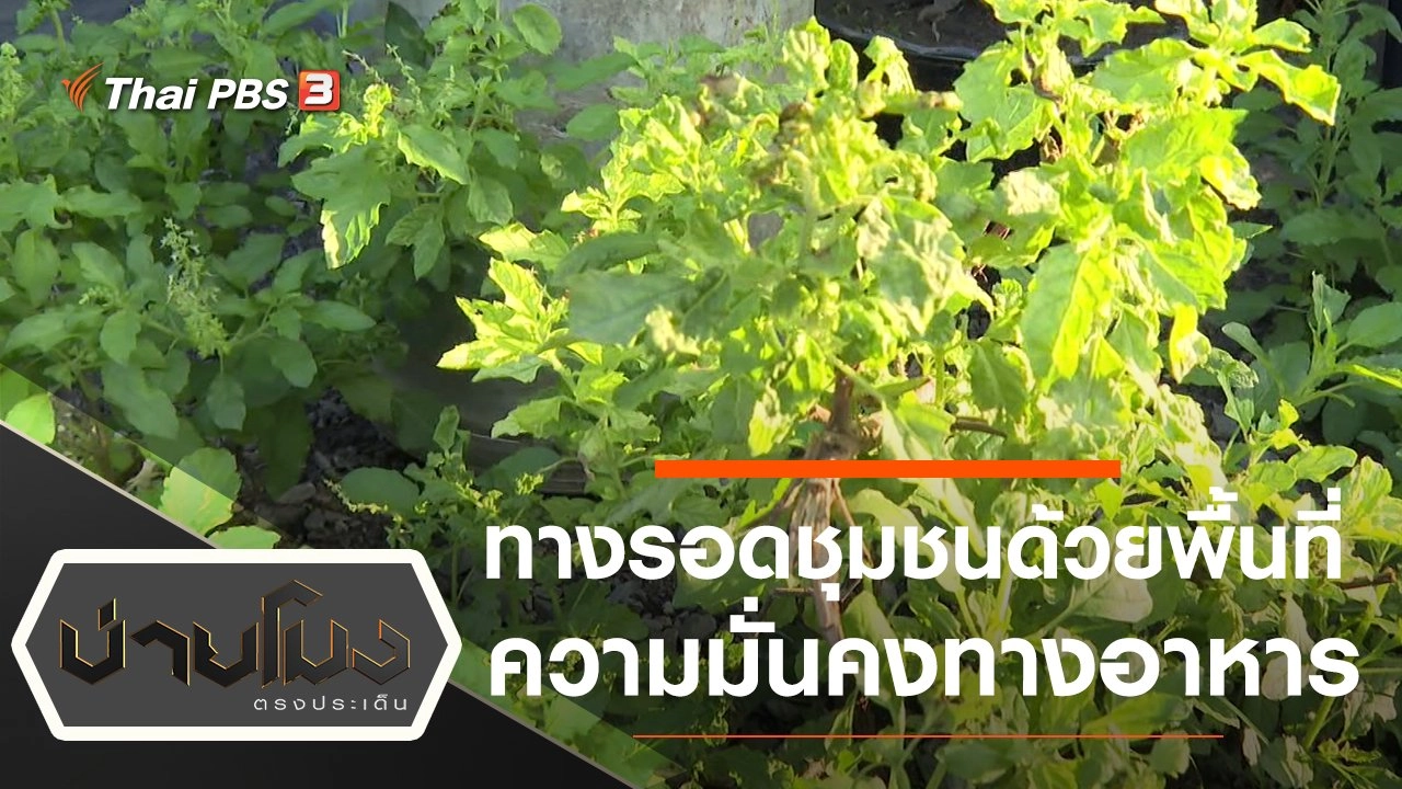 ประเด็นข่าว (24 ธ.ค. 63)