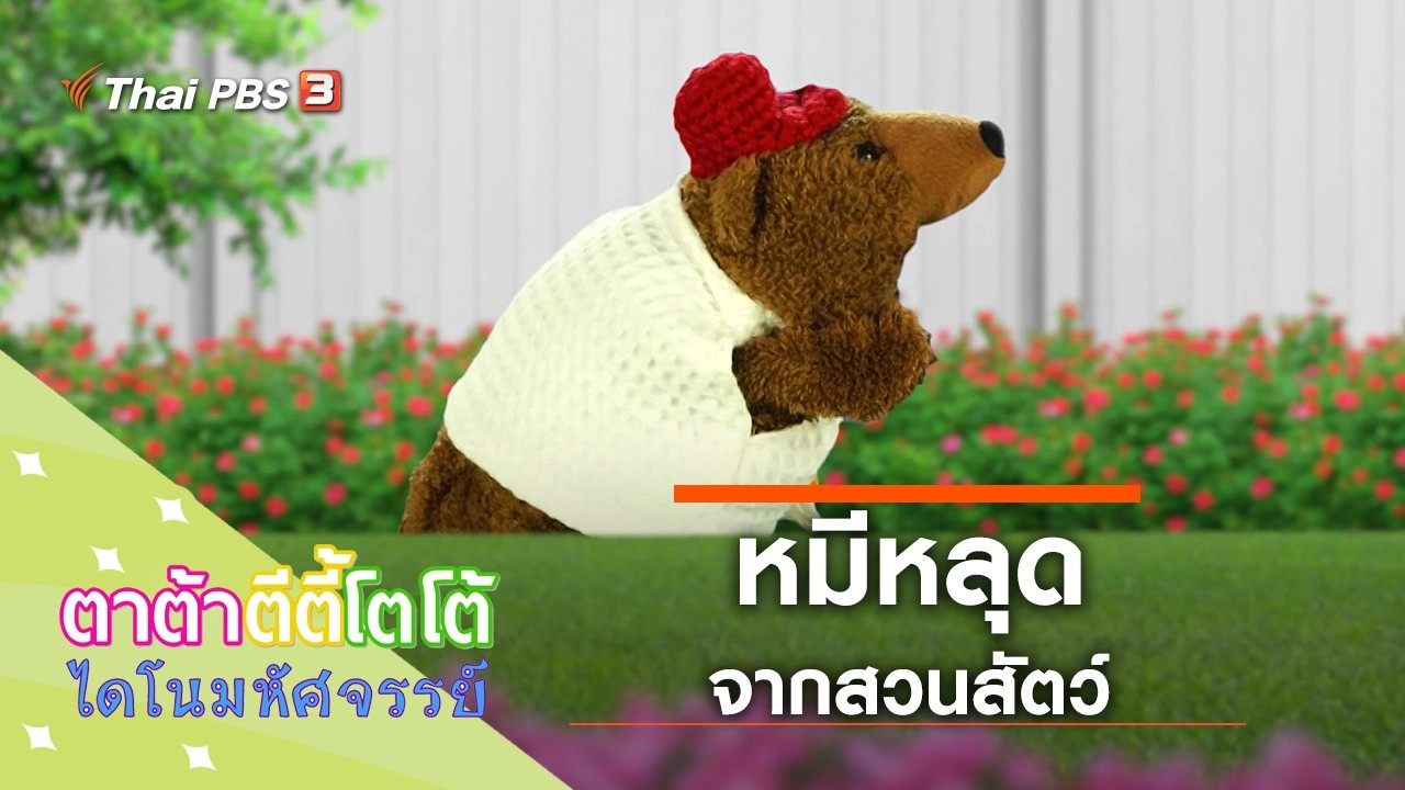 ​หมีหลุดจากสวนสัตว์