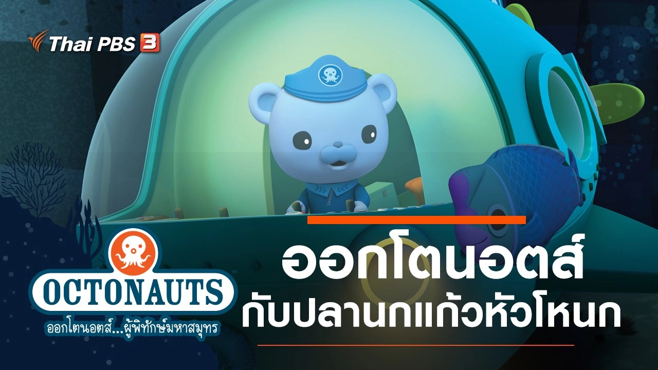 ออกโตนอตส์กับปลานกแก้วหัวโหนก