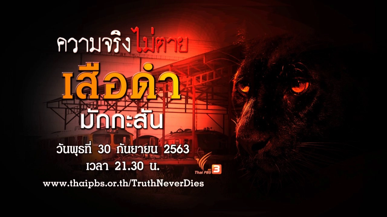 เสือดำมักกะสัน