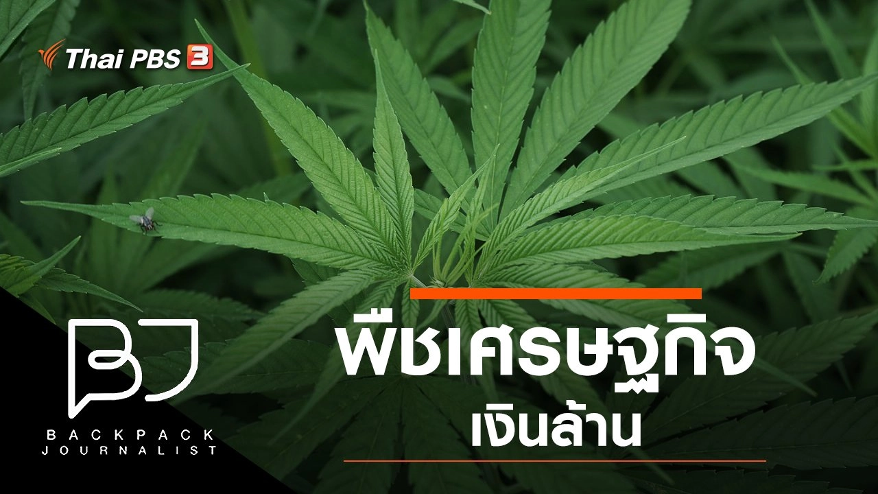 พืชเศรษฐกิจเงินล้าน