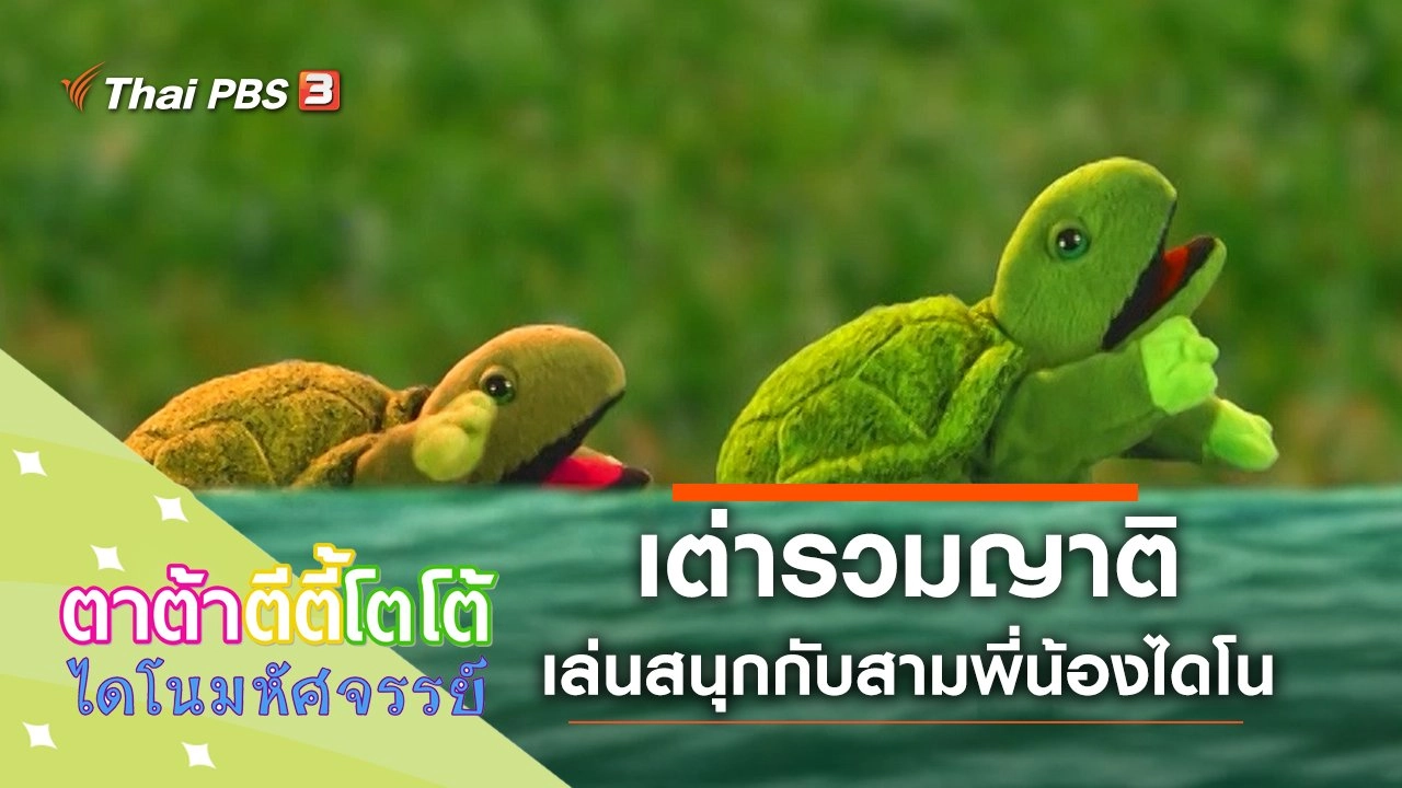 ​เต่ารวมญาติ