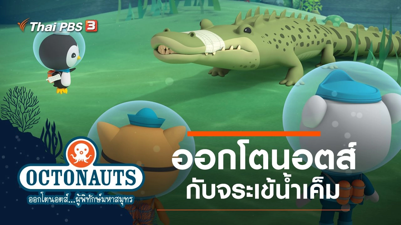 ออกโตนอตส์กับจระเข้น้ำเค็ม