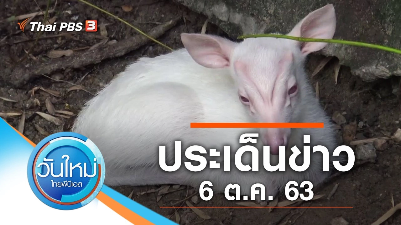 ประเด็นข่าว (6 ต.ค. 63)