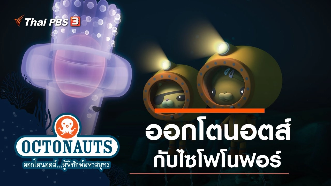 ออกโตนอตส์กับไซโฟโนฟอร์