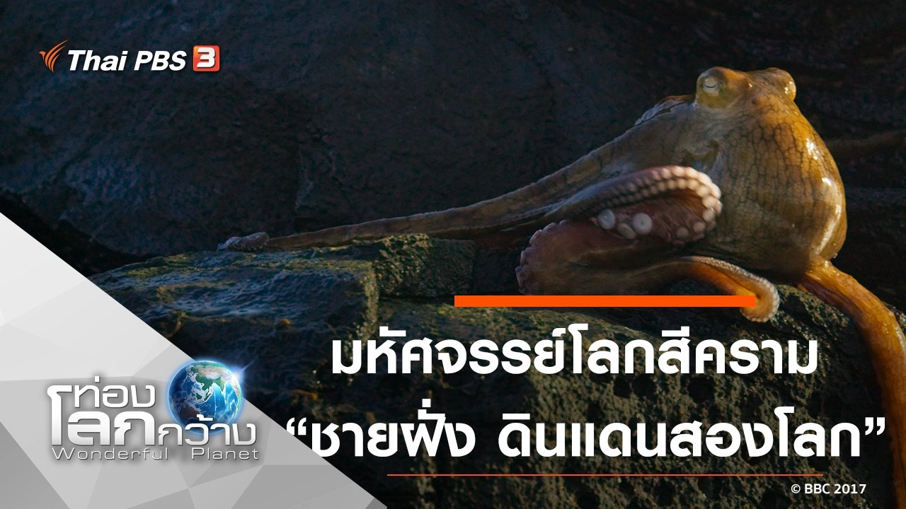 มหัศจรรย์โลกสีคราม ตอน ชายฝั่ง ดินแดนสองโลก