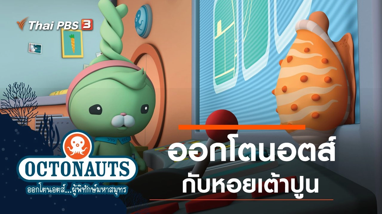 ออกโตนอตส์กับหอยเต้าปูน