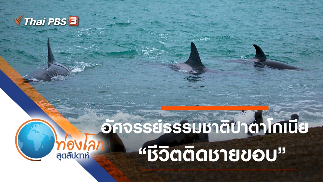 อัศจรรย์ธรรมชาติปาตาโกเนีย ตอน ชีวิตติดชายขอบ
