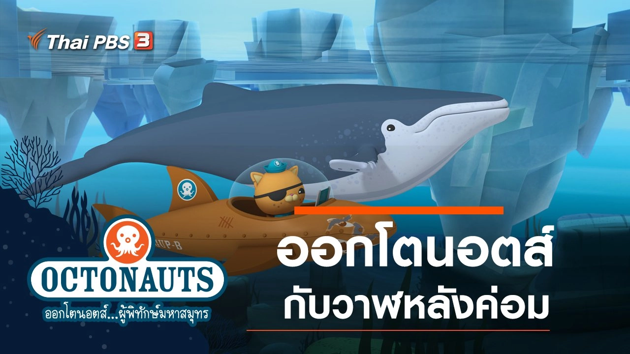 ออกโตนอตส์กับวาฬหลังค่อม