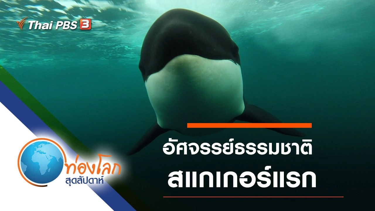 อัศจรรย์ธรรมชาติสแกเกอร์แรก