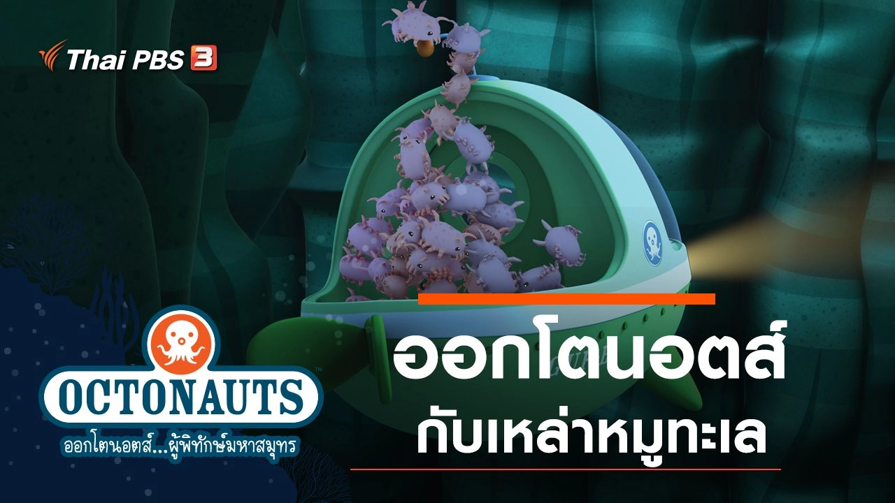 ออกโตนอตส์กับเหล่าหมูทะเล