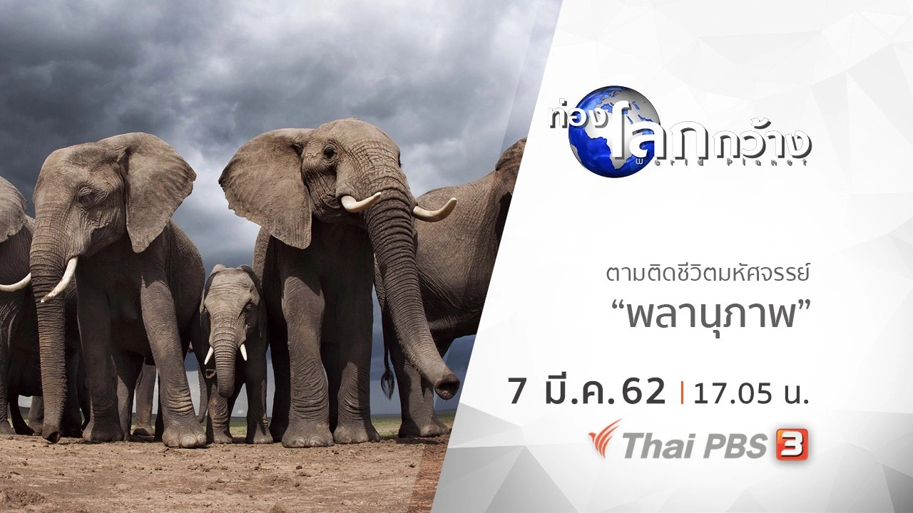 ตามติดชีวิตมหัศจรรย์ ตอน พลานุภาพ