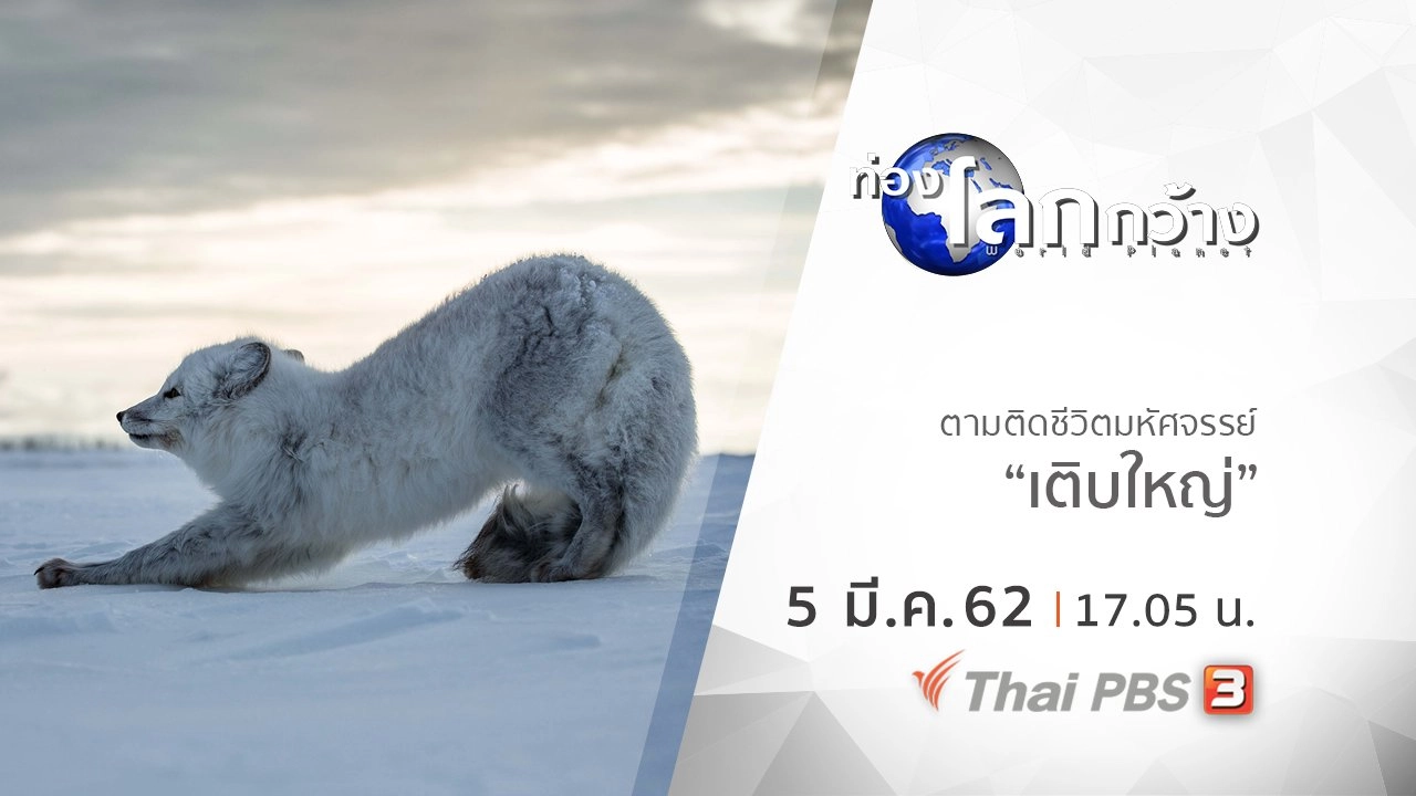 ตามติดชีวิตมหัศจรรย์ ตอน เติบใหญ่