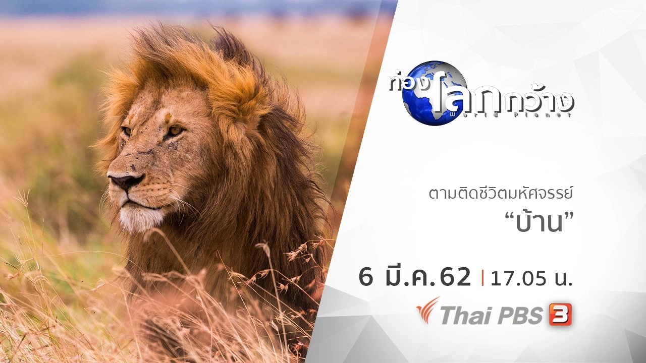 ตามติดชีวิตมหัศจรรย์ ตอน บ้าน