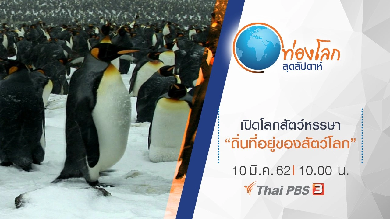 เปิดโลกสัตว์หรรษา ตอน ถิ่นที่อยู่ของสัตว์โลก