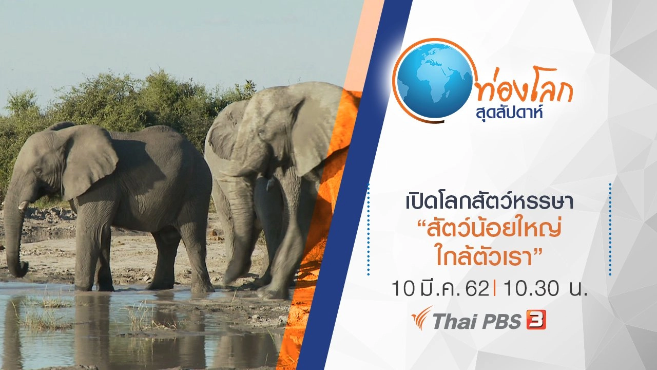 เปิดโลกสัตว์หรรษา ตอน สัตว์น้อยใหญ่ใกล้ตัวเรา