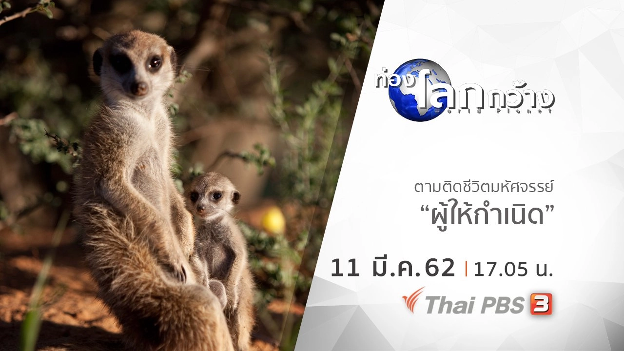 ตามติดชีวิตมหัศจรรย์ ตอน ผู้ให้กำเนิด