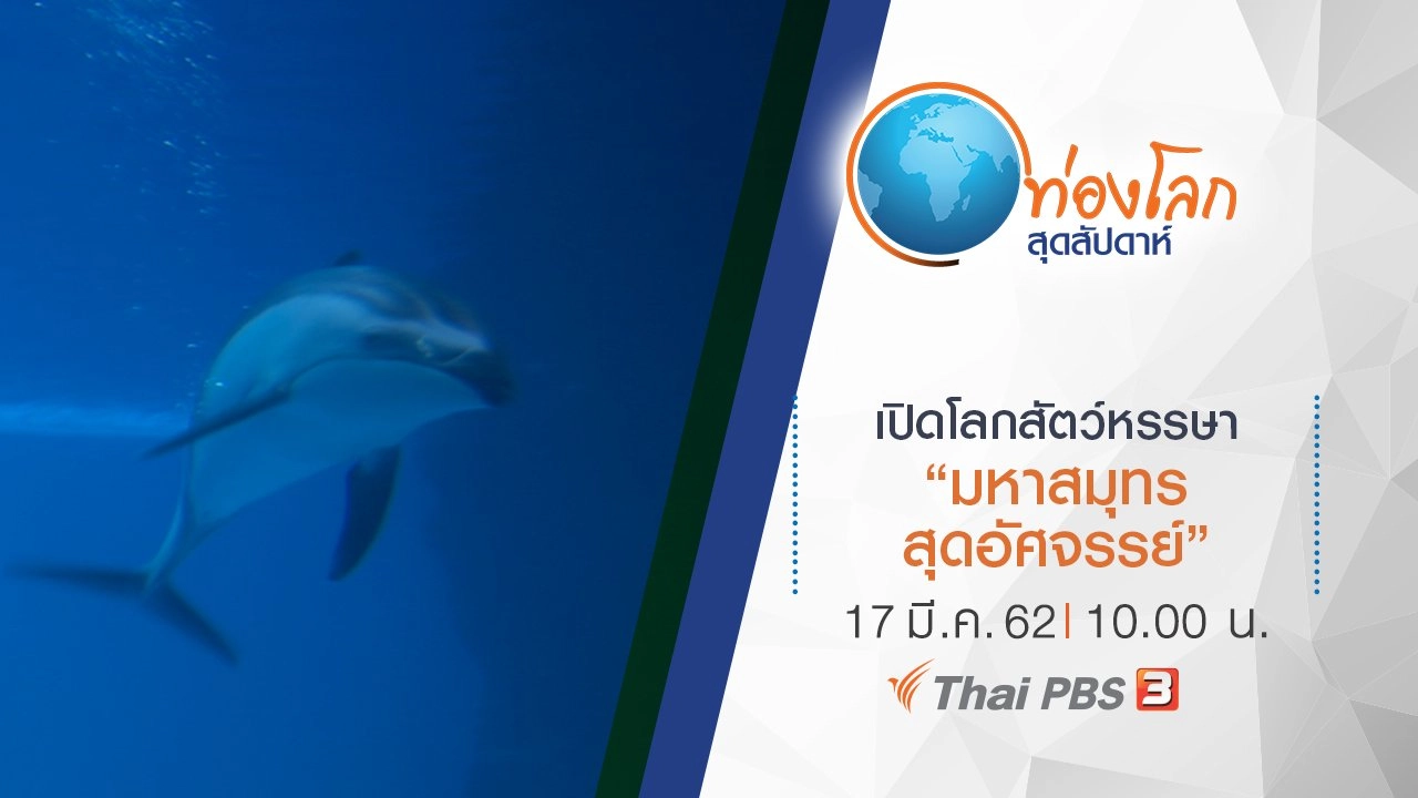 เปิดโลกสัตว์หรรษา ตอน มหาสมุทรสุดอัศจรรย์