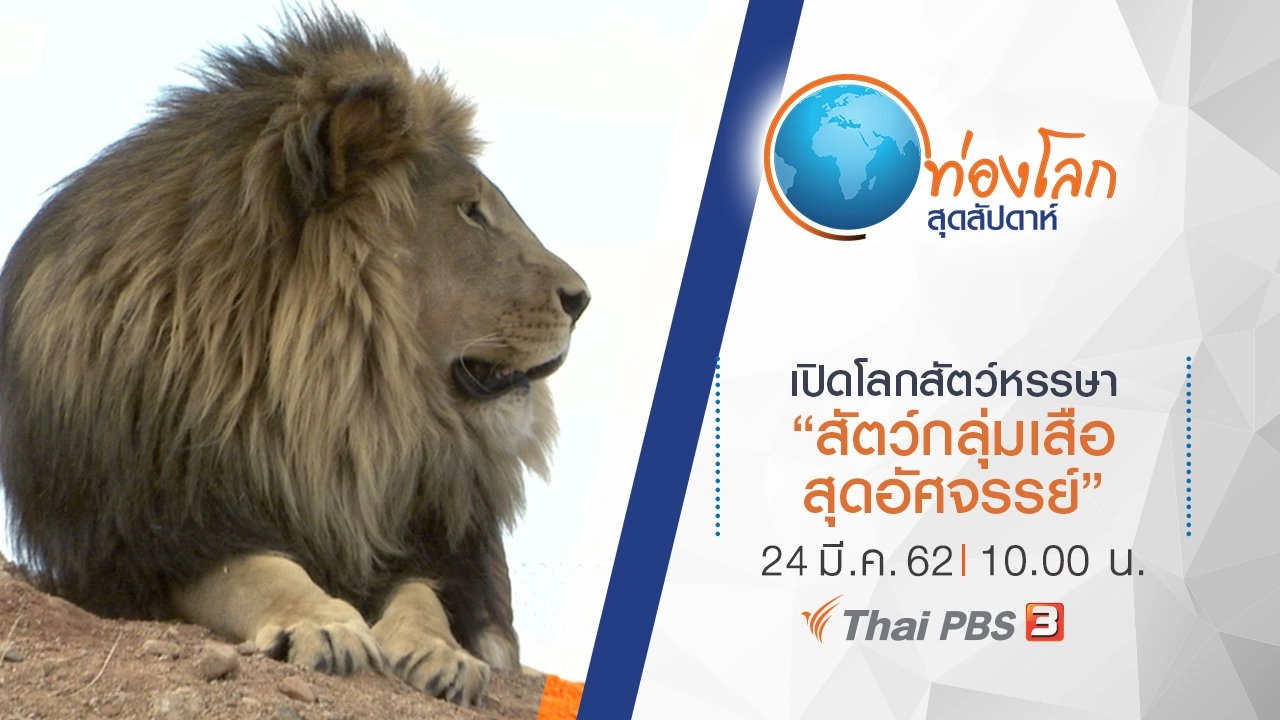 เปิดโลกสัตว์หรรษา ตอน สัตว์กลุ่มเสือสุดอัศจรรย์