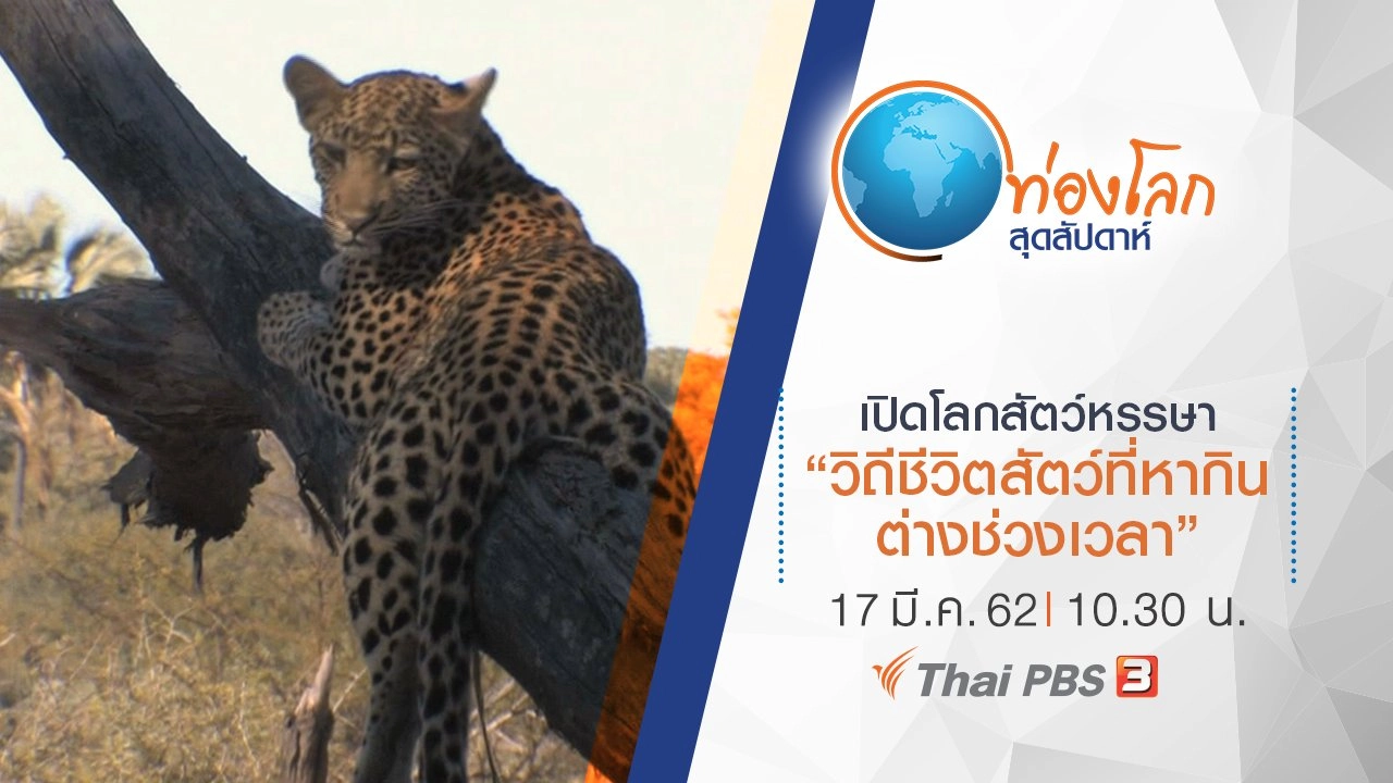 เปิดโลกสัตว์หรรษา ตอน วิถีชีวิตสัตว์ที่หากินต่างช่วงเวลา