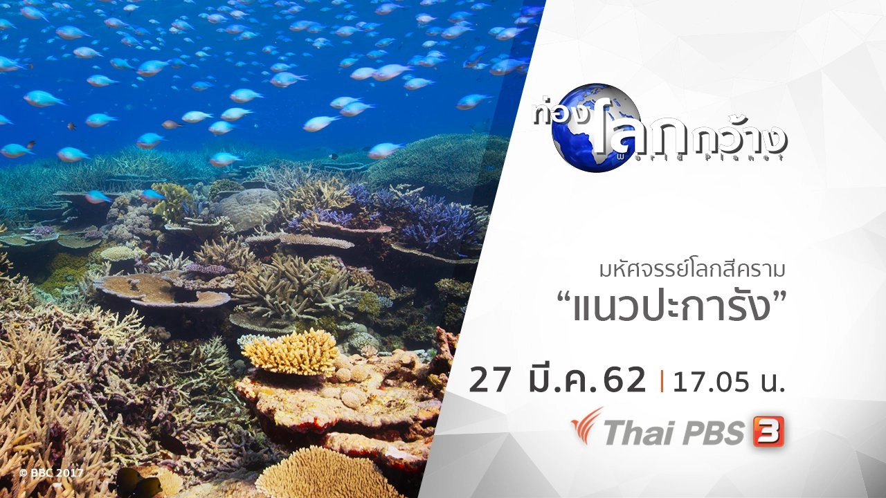 มหัศจรรย์โลกสีคราม ตอน แนวปะการัง