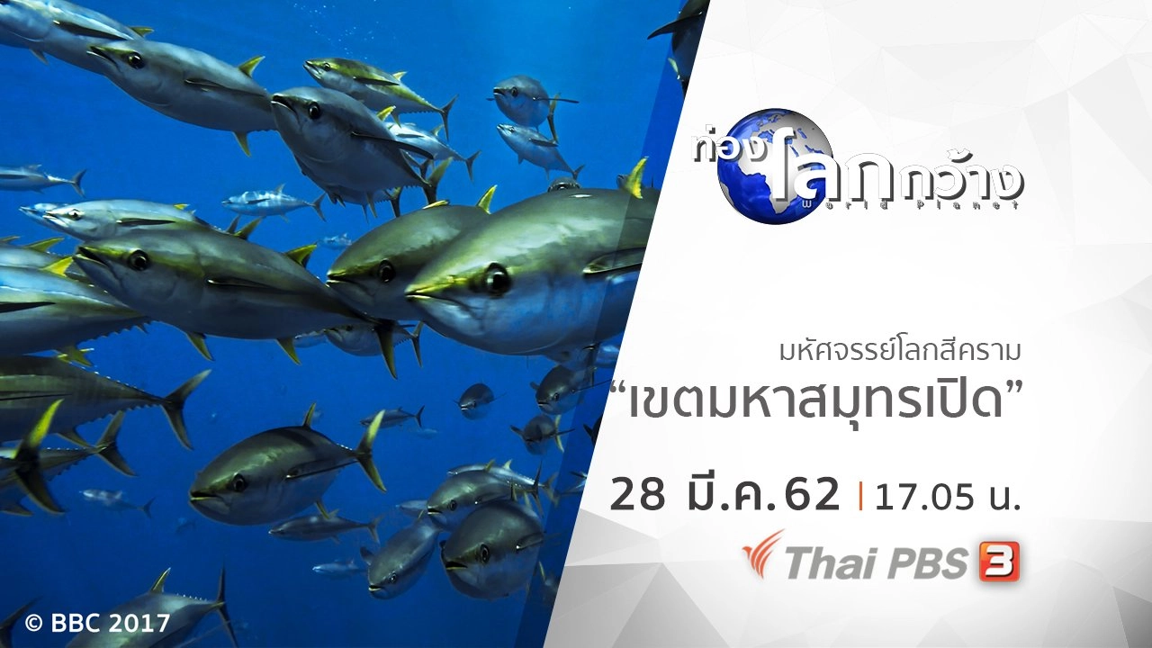 มหัศจรรย์โลกสีคราม ตอน เขตมหาสมุทรเปิด