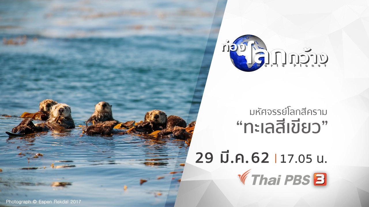 มหัศจรรย์โลกสีคราม ตอน ทะเลสีเขียว