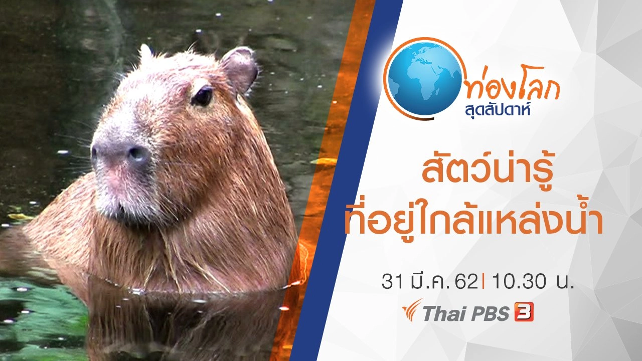 เปิดโลกสัตว์หรรษา ตอน สัตว์น่ารู้ที่อยู่ใกล้แหล่งน้ำ