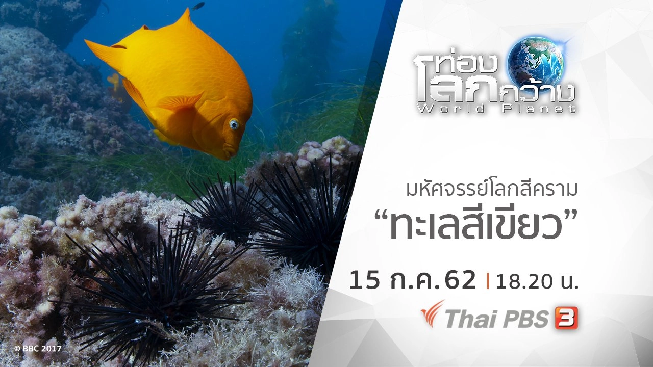 มหัศจรรย์โลกสีคราม ตอน ทะเลสีเขียว