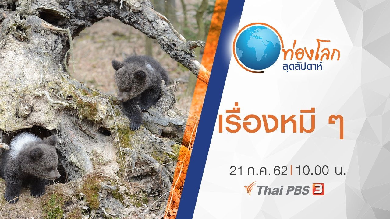 เรื่องหมี ๆ