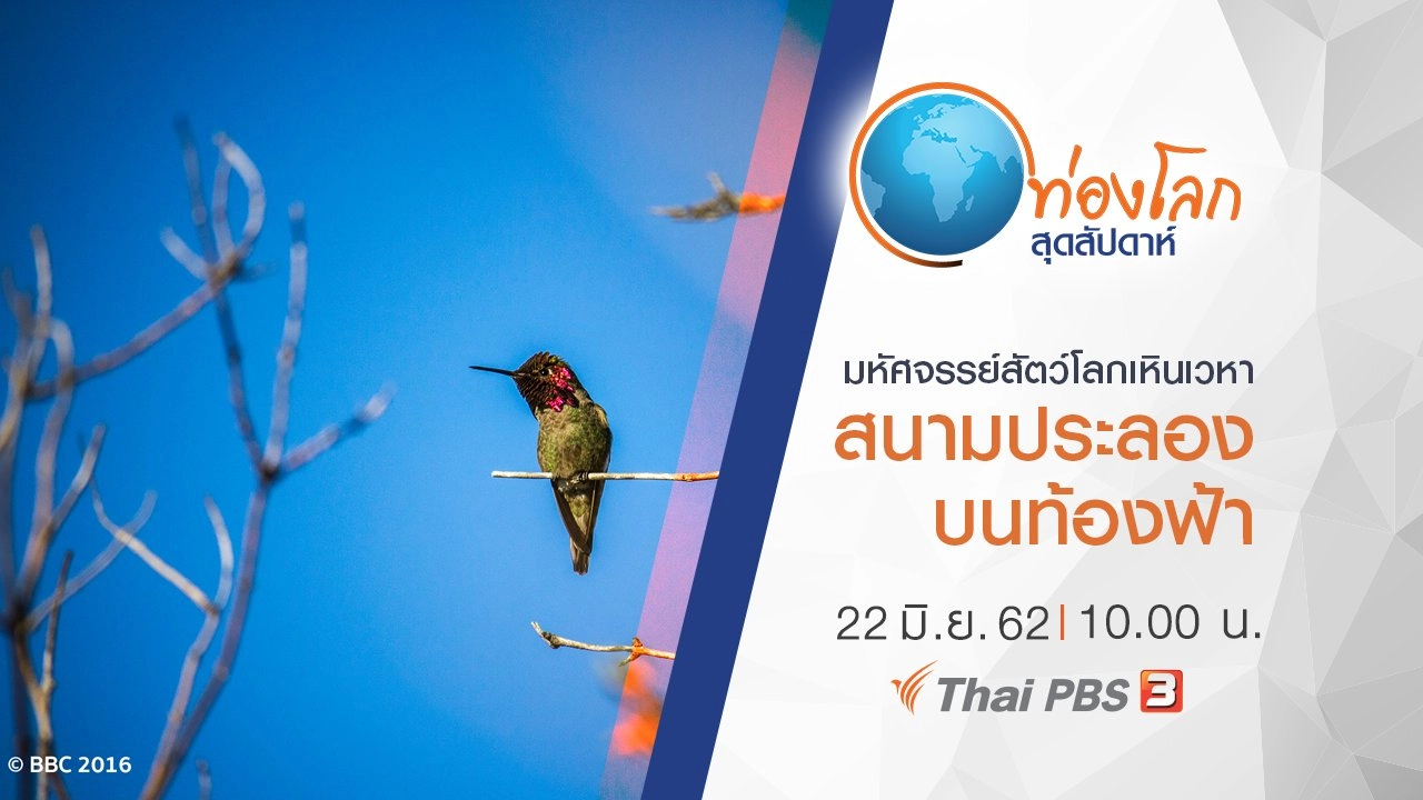 มหัศจรรย์สัตว์โลกเหินเวหา ตอน สนามประลองบนท้องฟ้า