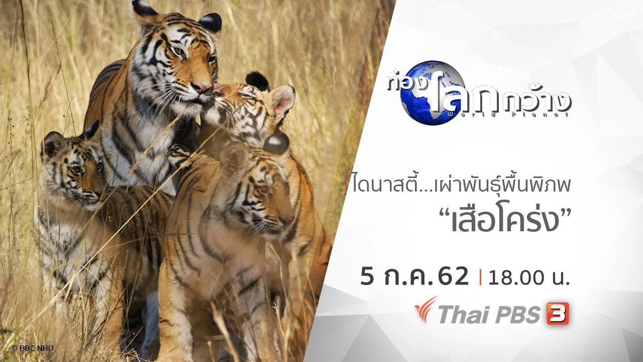 ไดนาสตี้ เผ่าพันธุ์พื้นพิภพ ตอน เสือโคร่ง