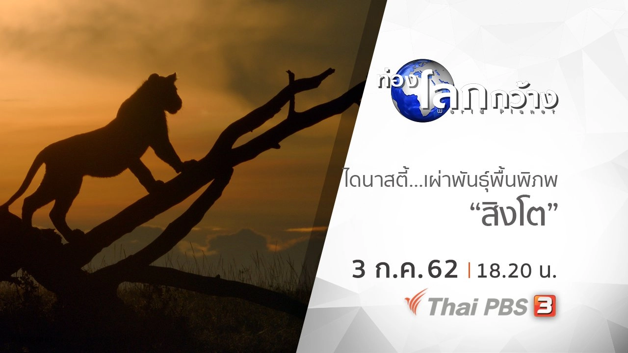 ไดนาสตี้ เผ่าพันธุ์พื้นพิภพ ตอน สิงโต