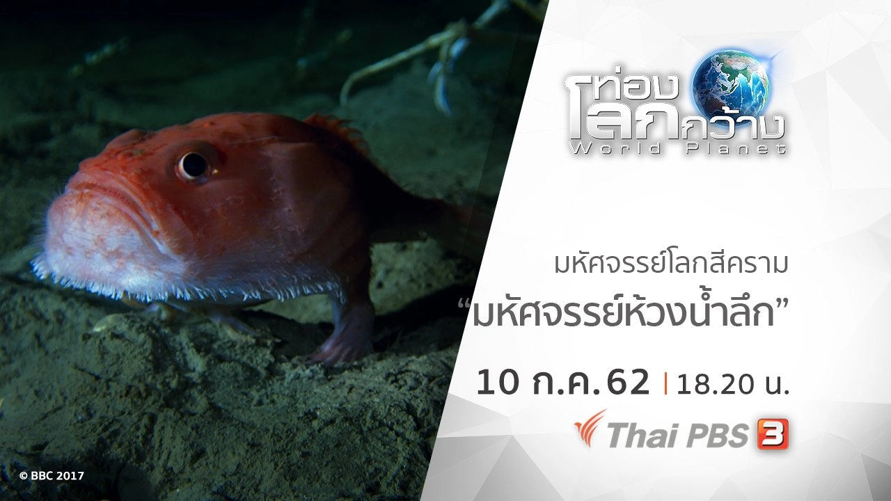 มหัศจรรย์โลกสีคราม ตอน มหัศจรรย์ห้วงน้ำลึก