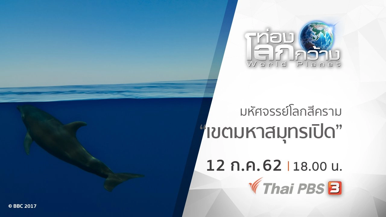 มหัศจรรย์โลกสีคราม ตอน เขตมหาสมุทรเปิด