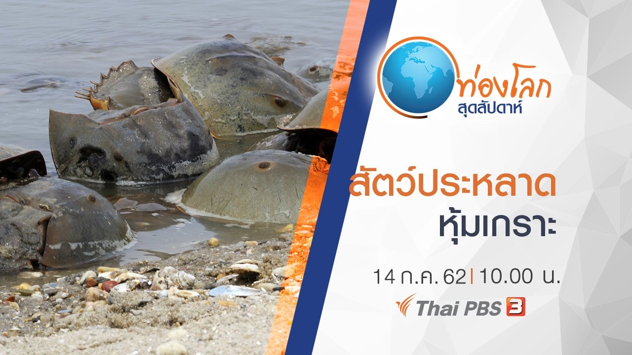 สัตว์ประหลาดหุ้มเกราะ