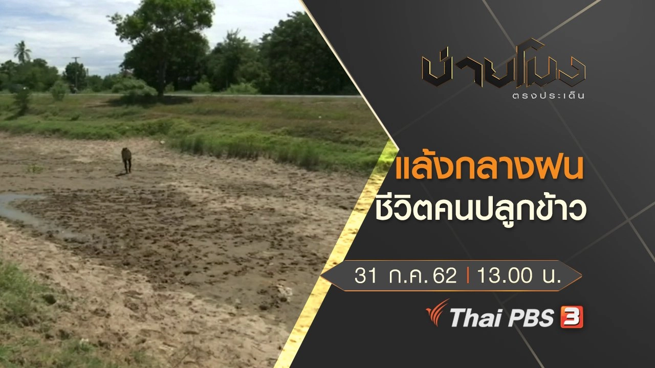 ประเด็นข่าว (31 ก.ค. 62)