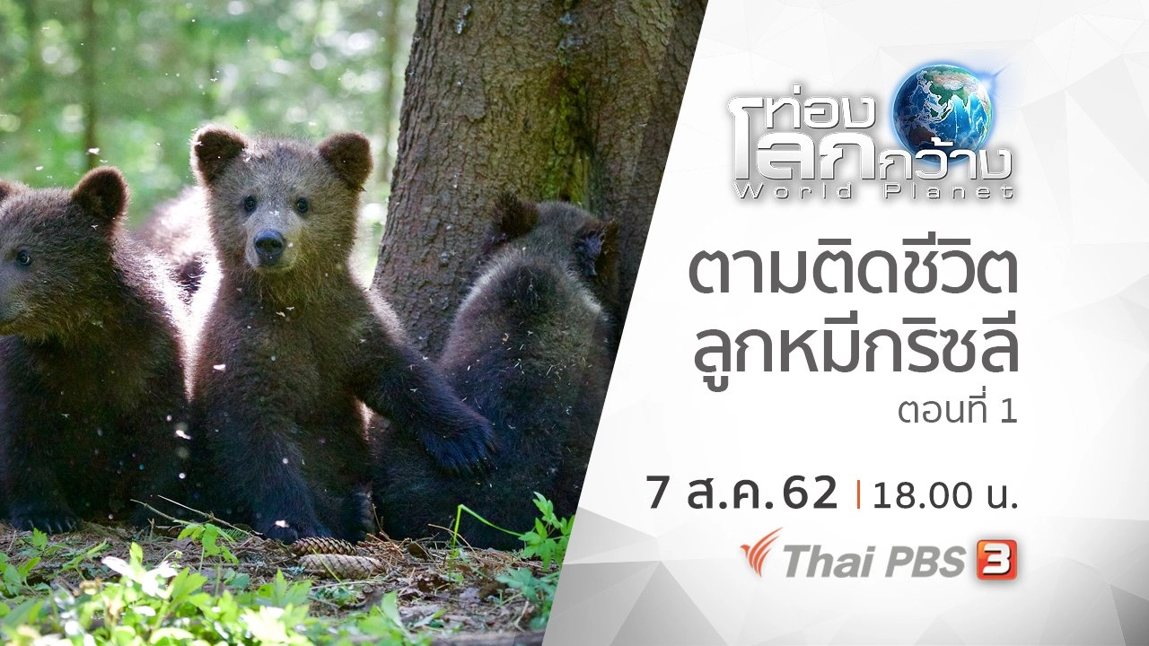 ตามติดชีวิตลูกหมีกริซลี ตอนที่ 1