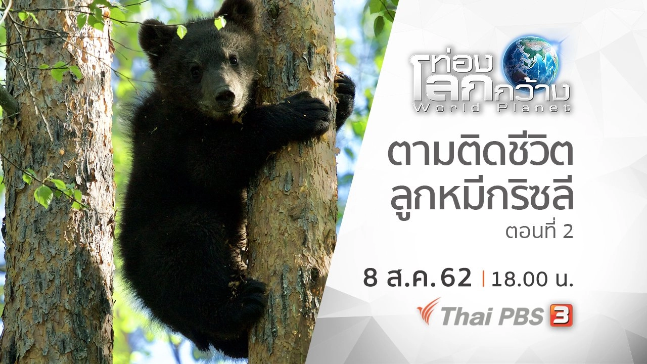 ตามติดชีวิตลูกหมีกริซลี ตอนที่ 2