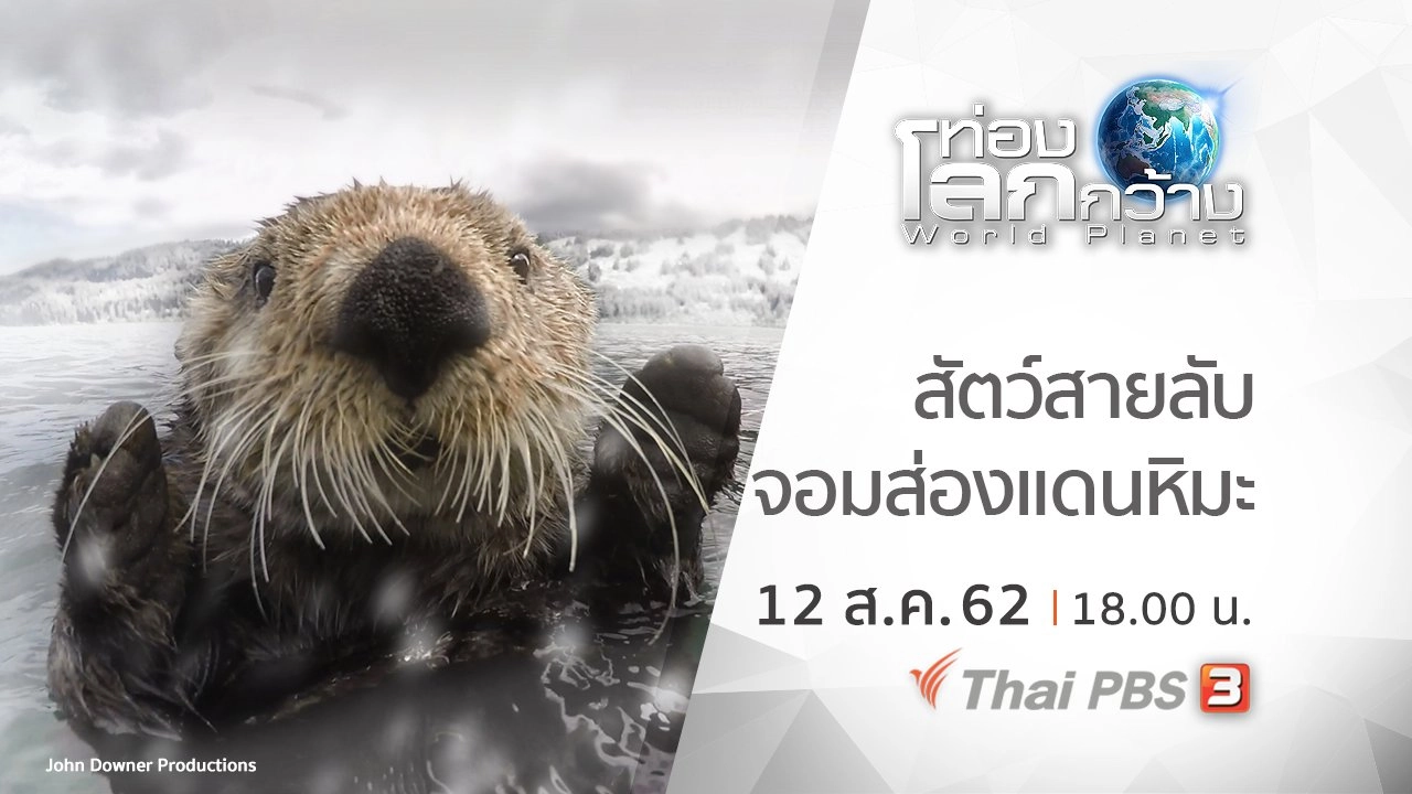 สัตว์สายลับจอมส่องแดนหิมะ