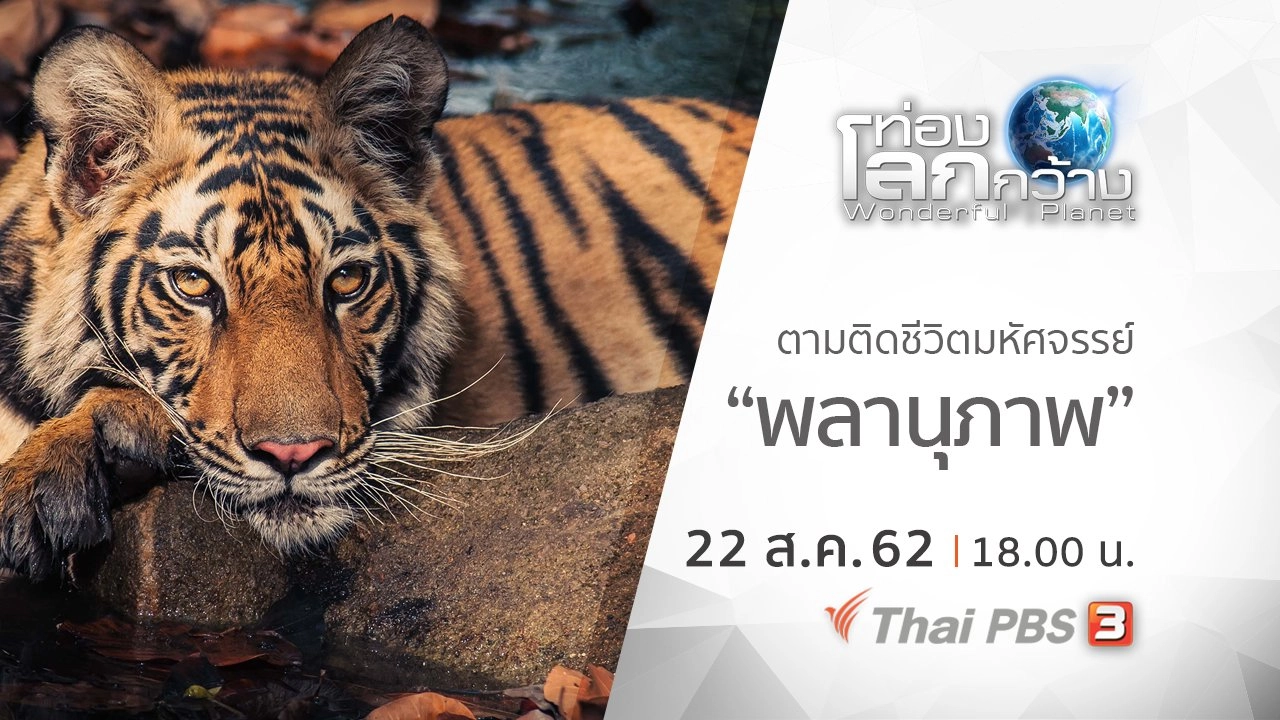 ตามติดชีวิตมหัศจรรย์ ตอน พลานุภาพ