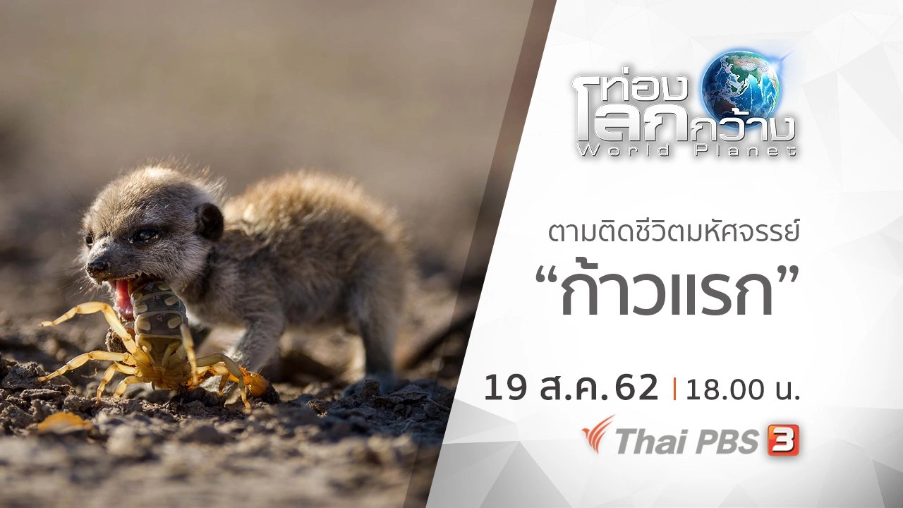 ตามติดชีวิตมหัศจรรย์ ตอน ก้าวแรก