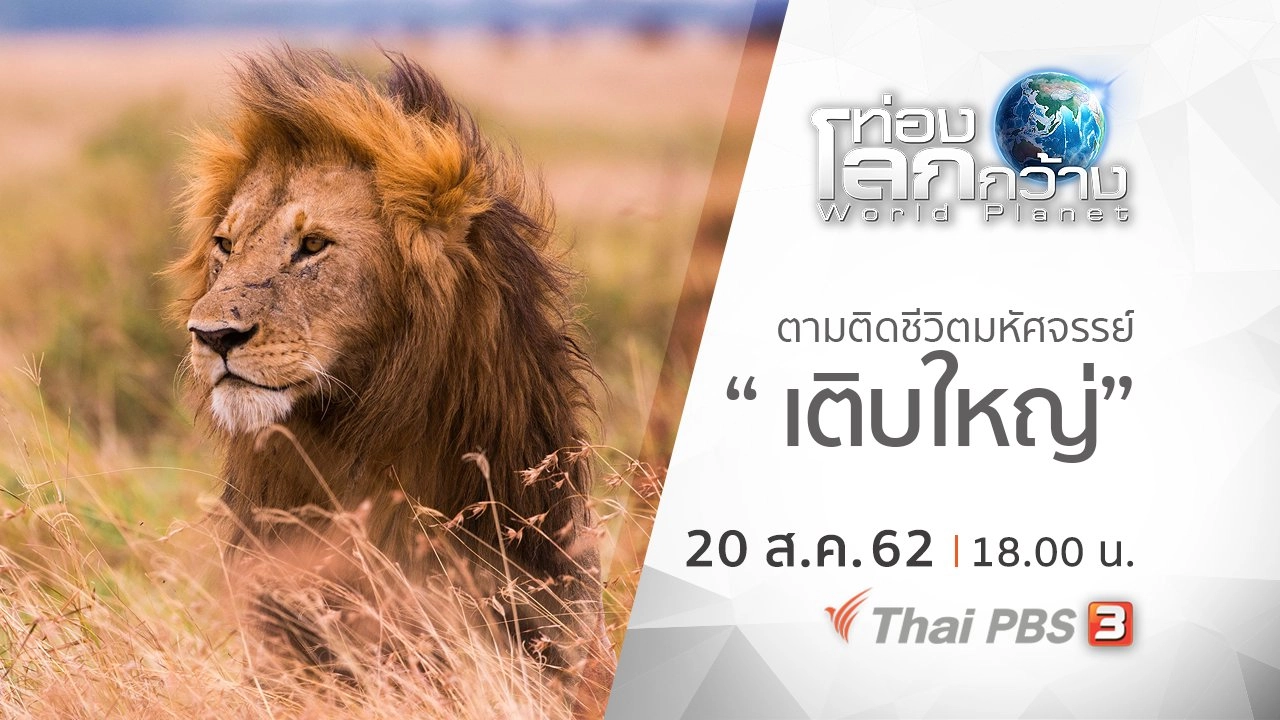 ตามติดชีวิตมหัศจรรย์ ตอน เติบใหญ่