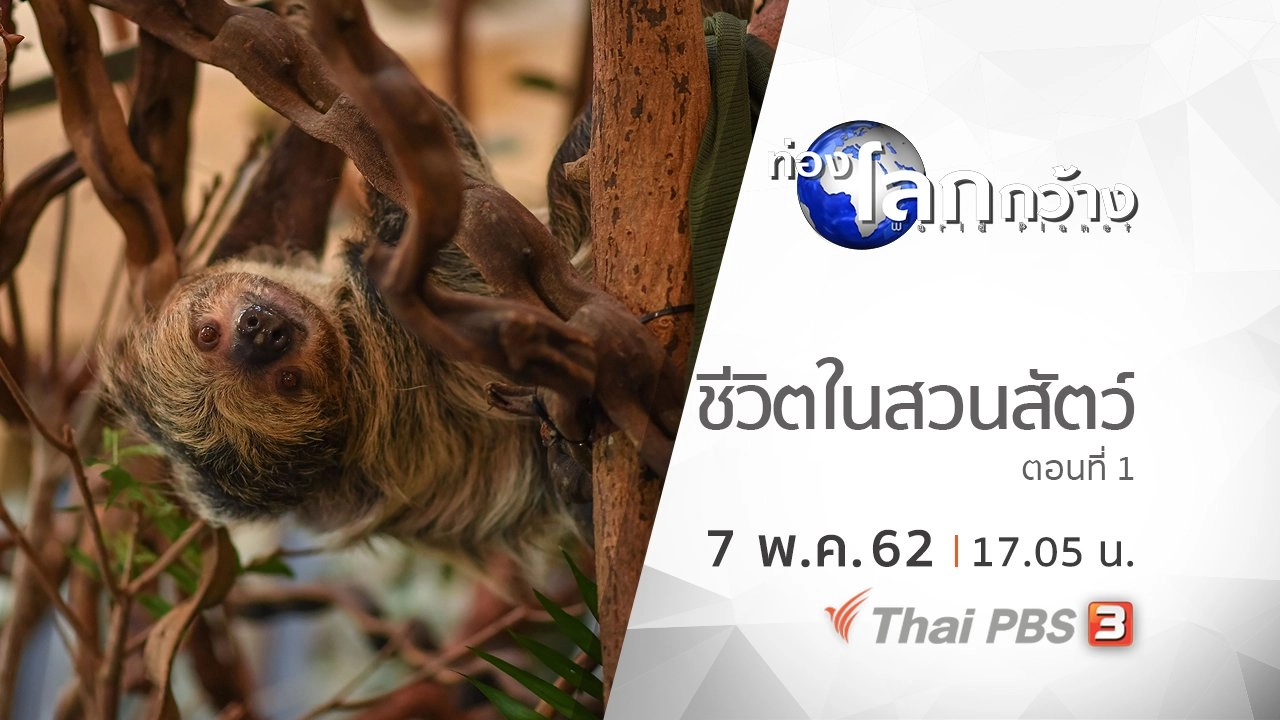 ชีวิตในสวนสัตว์ ตอนที่ 1