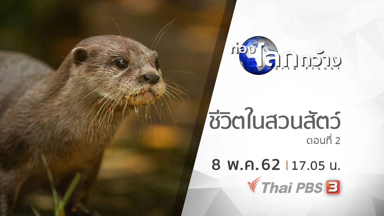 ชีวิตในสวนสัตว์ ตอนที่ 2