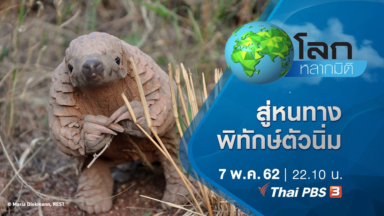 สู่หนทางพิทักษ์ตัวนิ่ม